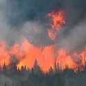 AS Kirim Data Satelit untuk Bantu Kanada Deteksi Kebakaran Hutan
