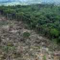 Lula da Silva Beberkan Rencana Aksi Hapus Deforestasi Amazon Brasil pada 2030