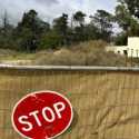Australia Batalkan Kontrak, Cegah Rusia Bangun Kedutaan Baru di Canberra