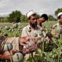 Ada Keterlibatan Taliban dan Pakistan dalam Perdagangan Narkoba Kartel Afghanistan