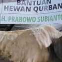 Prabowo Subianto Berkurban 30 Sapi di Wilayah DKI Jakarta