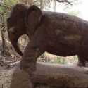 Terkubur Selama 2.300 Tahun, Patung Gajah Buddha Akhirnya Ditemukan di Odisha India