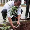 Atasi Perubahan Iklim, Ethiopia Tanam 566 Juta Pohon dalam Sehari