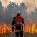 Petugas Pemadam Kebakaran Tewas saat Padamkan Api di British Columbia