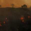 Kebakaran Besar Landa Yunani, Ribuan Orang Dievakuasi