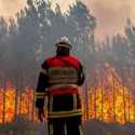 Petugas Pemadam Kebakaran Tewas saat Tangani Kebakaran Hutan di British Columbia