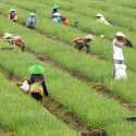 Filipina Pinjam Rp 9,1 Triliun dari Bank Dunia untuk Pertanian
