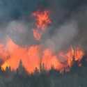 Capai Rekor, Kebakaran Hutan Kanada Hanguskan 10 Juta Hektare Lahan