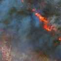 Pesawat Pemadam Kebakaran di Yunani Jatuh ke Kobaran Api