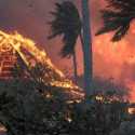 Update Kebakaran Hawaii: 80 Orang Tewas, 2.200 Bangunan Hangus