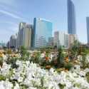 Tingkatkan Keindahan Kota, Abu Dhabi Tanam Lebih dari Lima Juta Bunga