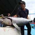 Ekspor Tuna Vietnam Diperkirakan Meningkat Akhir Tahun Ini