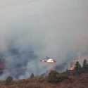 Kebakaran Hutan Tenerife Spanyol Meluas, Lima Desa Dievakuasi