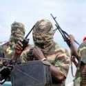 Puluhan Petani Dipenggal Kelompok Militan di Borno Nigeria