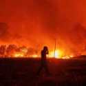 Api Makin Mengamuk Membakar Hutan Yunani, Ribuan Penduduk Athena Dievakuasi