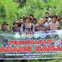 Tim Gabungan Musnahkan Ribuan Batang Ganja di Gayo Lues Aceh