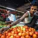 Panen Melimpah Bikin Harga Anjlok, Petani Tomat India Menjerit