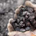 Nilai Ekspor Batu bara, Sawit dan Besi-baja Turun Signifikan