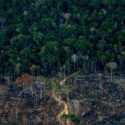 Bukti Janji Lula, Deforestasi Amazon Turun Hingga 66 Persen