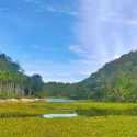 Negara Akui Hutan Adat Pertama di Aceh