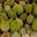 Permintaan Durian Meningkat 400 Persen, Terbanyak Berasal dari China