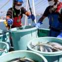 Protes Pembuangan Air Limbah Fukushima, Nelayan dan Penduduk Jepang Ajukan Gugatan