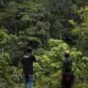Hutan Adat Aceh Sudah Boleh Dikelola, Kesejahteraan Masyarakat Diharapkan Meningkat