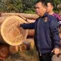 Bongkar Pembalakan Liar di Hutan Produksi Muba, Polisi Sita Ratusan Batang Kayu Log
