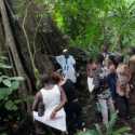 Deforestasi Ancam Kelestarian Hutan Keramat Vodoo di Benin