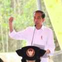 Kegusaran Surya Paloh dan Megawati Buka Jalan Pemakzulan Jokowi