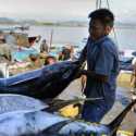 Pungutan PNBP Terus Dibebani, Usaha Angkutan Ikan Terancam Berhenti