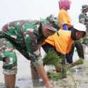 Atasi Dampak El Nino, TNI Hidupkan Lahan Tidur untuk Ketahanan Pangan