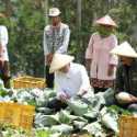 Bukan Food Estate, Anies Tawarkan Konsep Contract Farming agar Petani Sejahtera