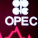 Mulai Tahun Depan, Brasil Resmi Jadi Anggota OPEC+