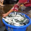 Dinilai Minim Kajian dan Sulitkan Nelayan, Kommari Sambut Baik Penundaan PIT