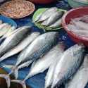 Genjot Ekonomi Nelayan, DPD Dorong Ekspor Produk Olahan Ikan di Jatim