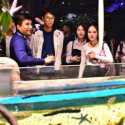 Bersama Influencer, Alam Ganjar Mengenal Biota Laut di Wahana Jakarta Aquarium