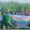 Petani Tebu di Pulau Jawa Solid Menangkan Prabowo-Gibran