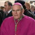 Paus Fransiskus Pecat Uskup Belgia Karena Kasus Pelecehan Anak