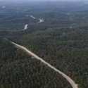 Pemerintah Genjot Manfaat Sawit dengan Rencana Aksi Perkebunan Berkelanjutan