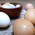 Harga Telur Melonjak, Bapanas Pastikan Kembali Normal Seiring Panen Jagung