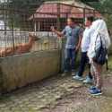 Rencana Penutupan Medan Zoo Ditunda