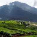 Gunung Dempo Erupsi, Jalur Pendakian Ditutup Sepekan