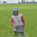 Lahan Pertanian di Bekasi Terkikis Berganti Perumahan