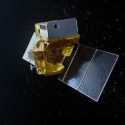India dan Prancis Kembangkan Satelit TRISHNA