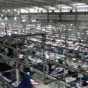 Industri Tekstil Tanah Air Gulung Tikar, Luhut Malah Beri Karpet Merah Pabrik asal China di RI
