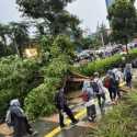 Cuaca Ekstrem di Jakarta, Pengendara Jangan Parkir di Bawah Pohon