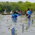 Sobat Bumi Universitas Pertamina dan KPPMPI Aksi Tanam Mangrove