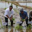 Kejar Masa Tanam, Wamentan: Tata Kelola Pupuk Perlu Diperbaiki agar Sampai ke Petani