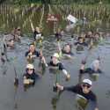 Aksi Nyata IKA Usakti Selamatkan Bumi Lewat Tanam Mangrove